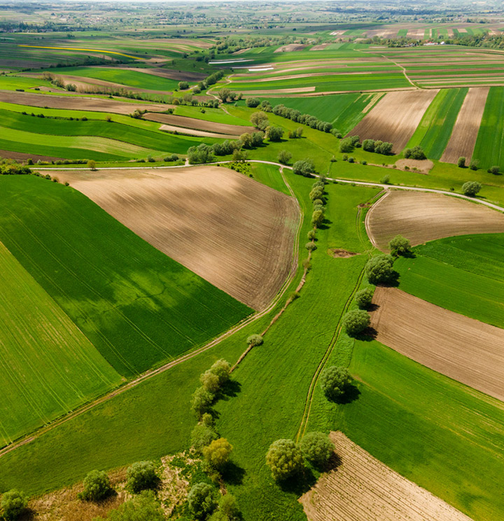 poland