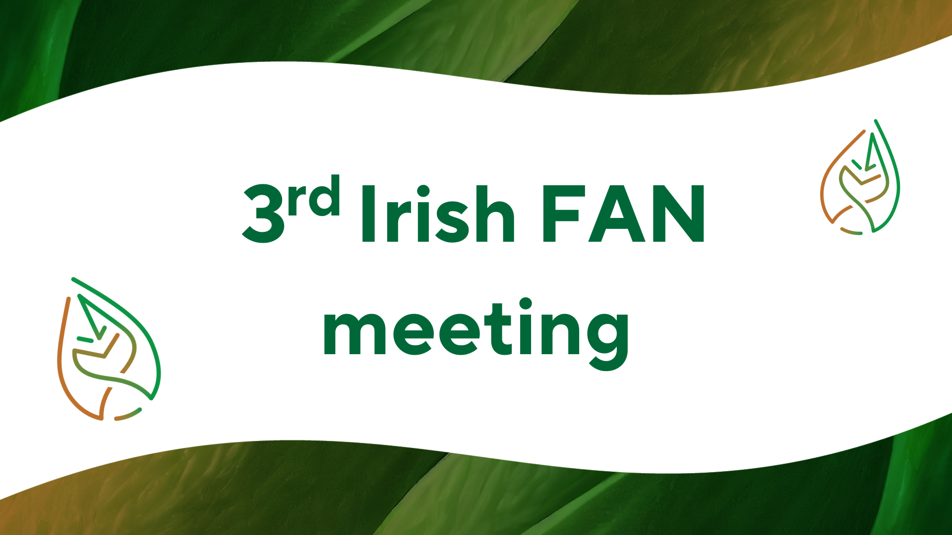 Third Irish FAN meeting banner