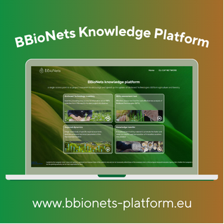BBioNets Knowledge Platform