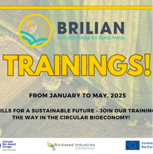 BRILIAN Trainings