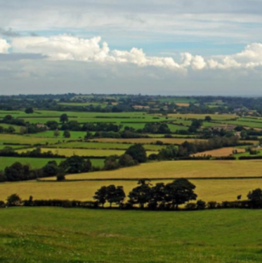 OptFor-EU selected photo