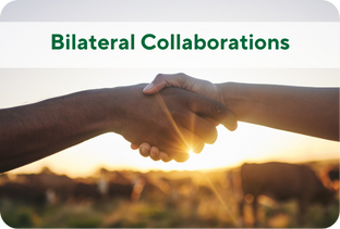 Bilateral Collaborations banner