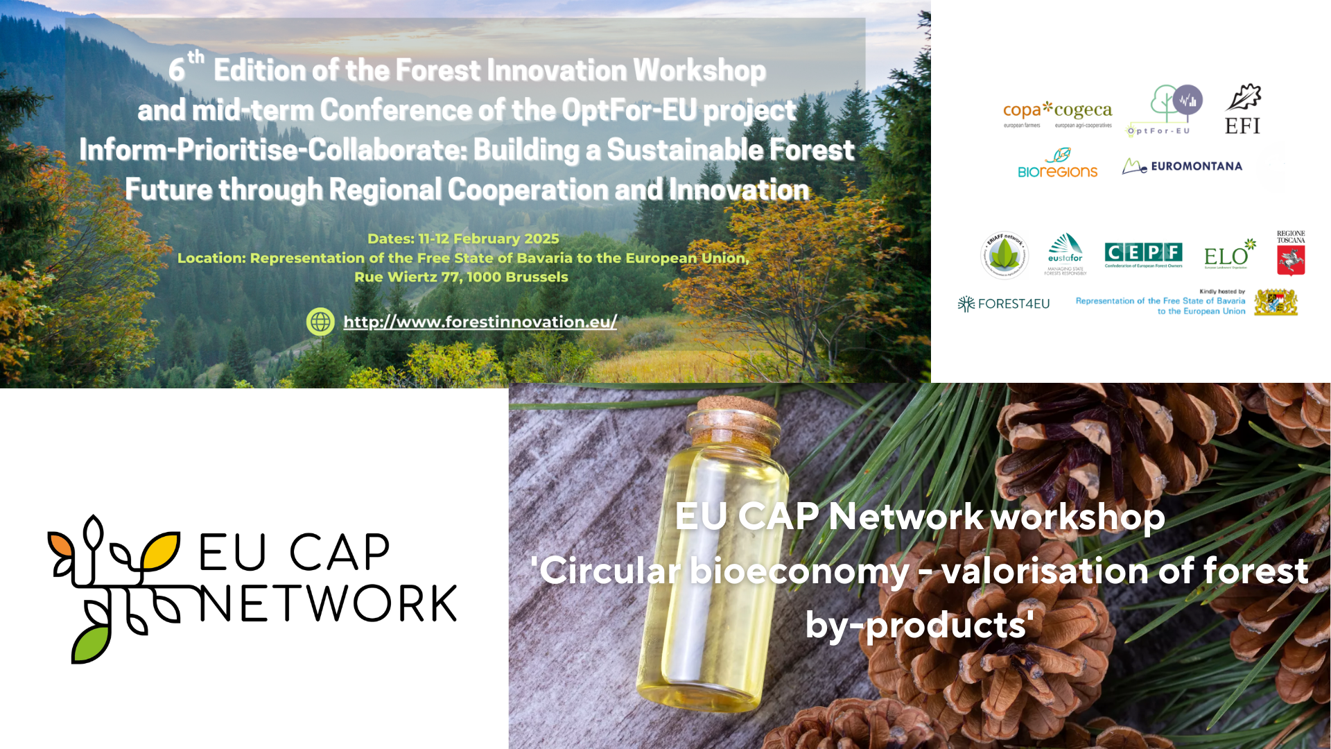 Banners from the Forest Innovation Workshop 2025 and the EU CAP Network workshop 'Circular bioeconomy - valorisation of forest by-products'