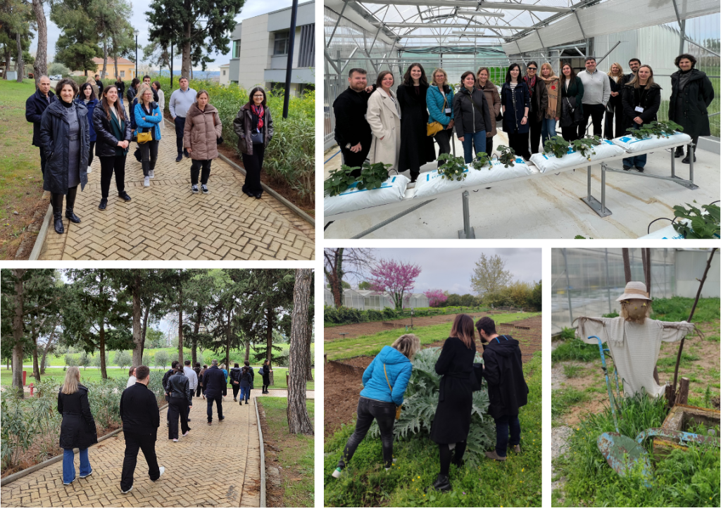 Photos from the Plenary Meeting