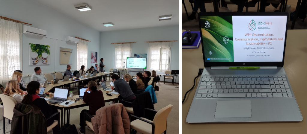 Photos from the Plenary Meeting