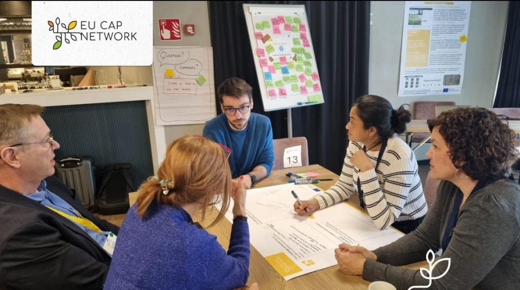 EU CAP Network workshop 'Circular bioeconomy - valorisation of forest by-products'